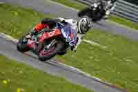 Lower Group Multicolour Bikes